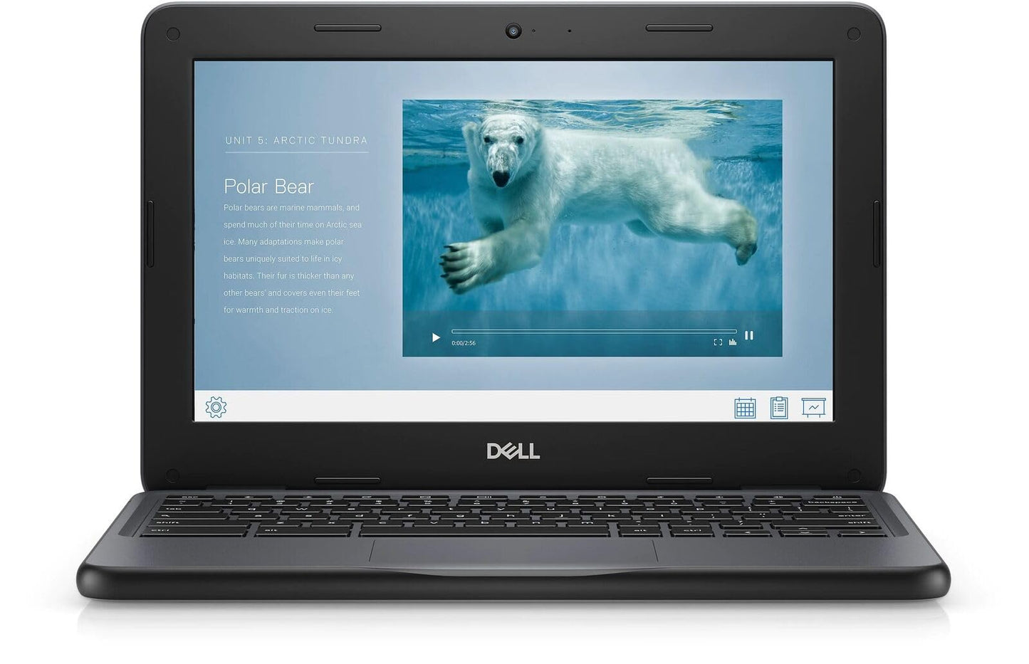 Dell Chromebook 3100 Intel N4020 4GB 16GB Chrome OS 11.6 inch Gray (Renewed)